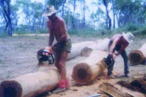 Zane cut around 6500 posts in 12 months at his parents property